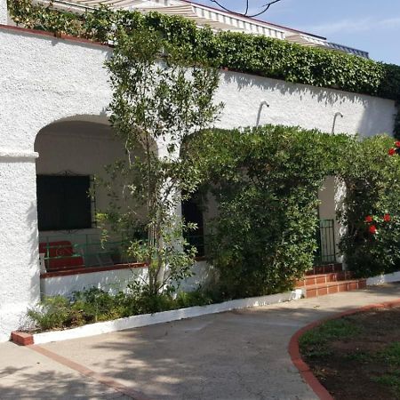 Villa Feli 3 Benicàssim Eksteriør bilde